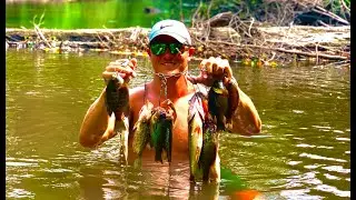 MICRO ROD catches DINNER