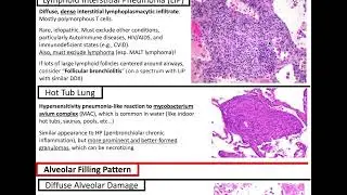Medical Lung Diseases: Kurt’s Notes #pathagonia