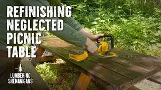 Forest Maintenance: Refinishing Picnic Table