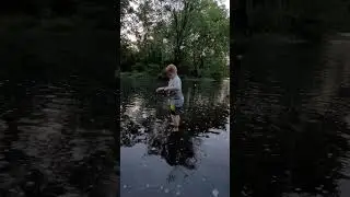 HERE FISHY FISHY