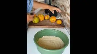 Faça seu bichinho de laranja