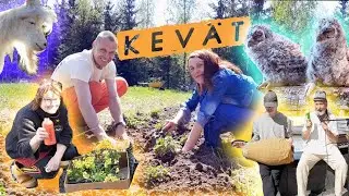 Keväisiä puuhia Gopalalaaksossa