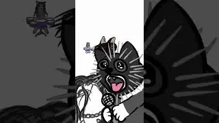 #edit #cat #chipichipichapachapadubidubidabadaba