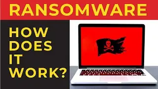 What is Ransomware and how does it work?