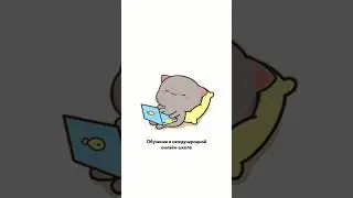Проверенный план, который приведет к поступлению в зарубежные вузы🔥