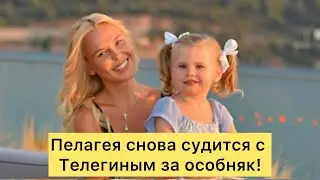 Пелагея снова судится с Телегиным за особняк!