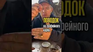 The most effective carp leader!