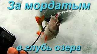За мордатым в глубь озера