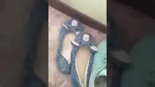 Кто-то нассал на мою кровать.