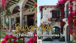 5 minutos de BUGANVILLAS para Mejorar la Apariencia de la Fachada
