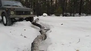 Скоро весна!