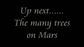 Mars Proof of Life will blow your mind - You don't want to miss this one gone  viral