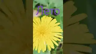 #tiktok #meme