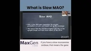 SLOW MAO | MaxGen Labs