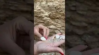 Назад на миллионы лет во времена океана Тетис! Почувствуй себя археологом #Калмыкия #путешествия