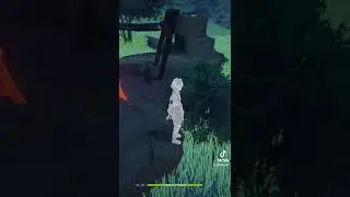Квест с аптекарем (лечение на острове). Genshin impact
