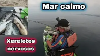 Mar calmo, xereletes nervosos