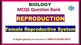 Female Reproductive System 