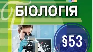 §53. Поняття про гомеостаз і нервову регуляцію функцій організму людини