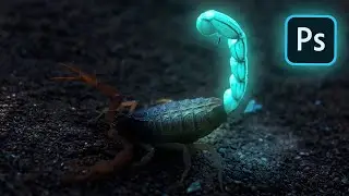 glow effect in photoshop | glowing Scorpion | photoshop tutorial