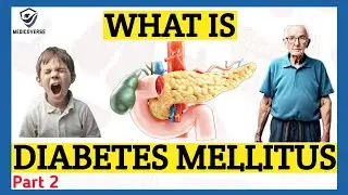 Diabetes Mellitus: Causes And Symptoms |  Diabetes Type 1 , Diabetes Type 2 | Part 2