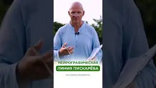 Линия Пискарёва / Нейрографика