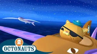 Octonauts - Chasing the Flying Fish | Full Episode 22 | Cartoons for Kids | Underwater Sea Education