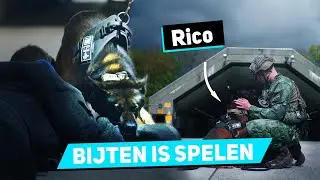 Zijn Aanvalshonden Agressief? | Military Dogs | #3