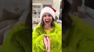 Telling my wife she can put the GRINCH tree up 