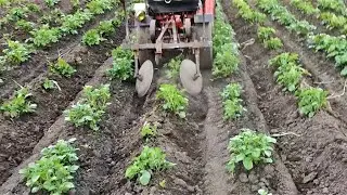 ок"учивание блинами, недодисками