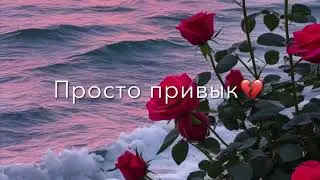 Ко камля цытата закрепить ? дёргайте )индия вступает в ход (люблю кая фраза 😂❤️)