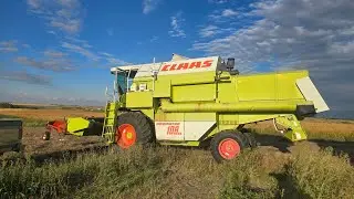 The Claas Dominator 108sl Chewing Barley!!