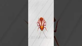 CatNap HERO or IMPOSTOR? 😂 PK XD Meme 