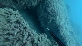 Всего один шанс! Подводная охота 100%. Зима в Черном море.