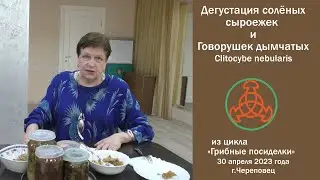 Дегустация солёных сыроежек и говорушек дымчатых. 