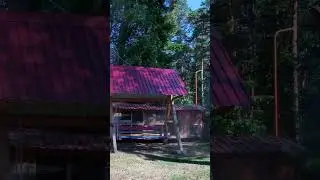 Усадьба Лебедь Турочак Республика Алтай Часть 287 #Shorts