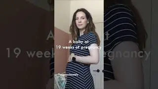 19 Weeks pregnant baby size