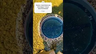 Нужная вещь в пруду от Дениса ПРУД ПРУДИ