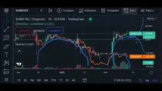 Shibdoge vs xmr, not financial wisdom