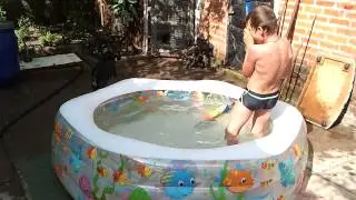 Егор играет с Бароном..
