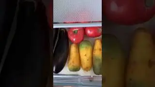 Как правильно хранить овощи 