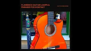 Flamenco Guitar Loops And Phrases For KONTAKT Demo