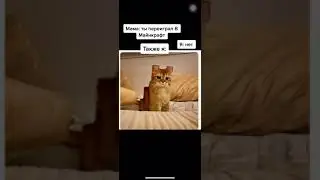 #мем
