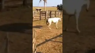 😂😂😂 #fypシ #fypシ゚viral #viral #tiktok #funny #meme #prank