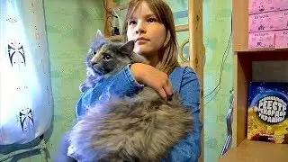 Новая жизнь. Мать тренируется на кошке / New life. Mother trains on a cat