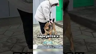 Что нового у Жужи?