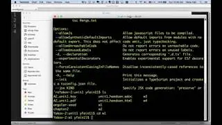 The first steps with Angular 2, TypeScript, and npm