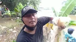 Banjir