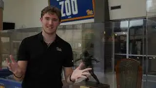 Sean D. McQuillan On-Air Reel