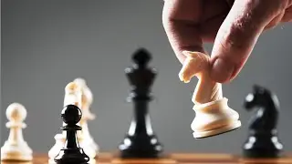 Çəkişməli oyun şahmat